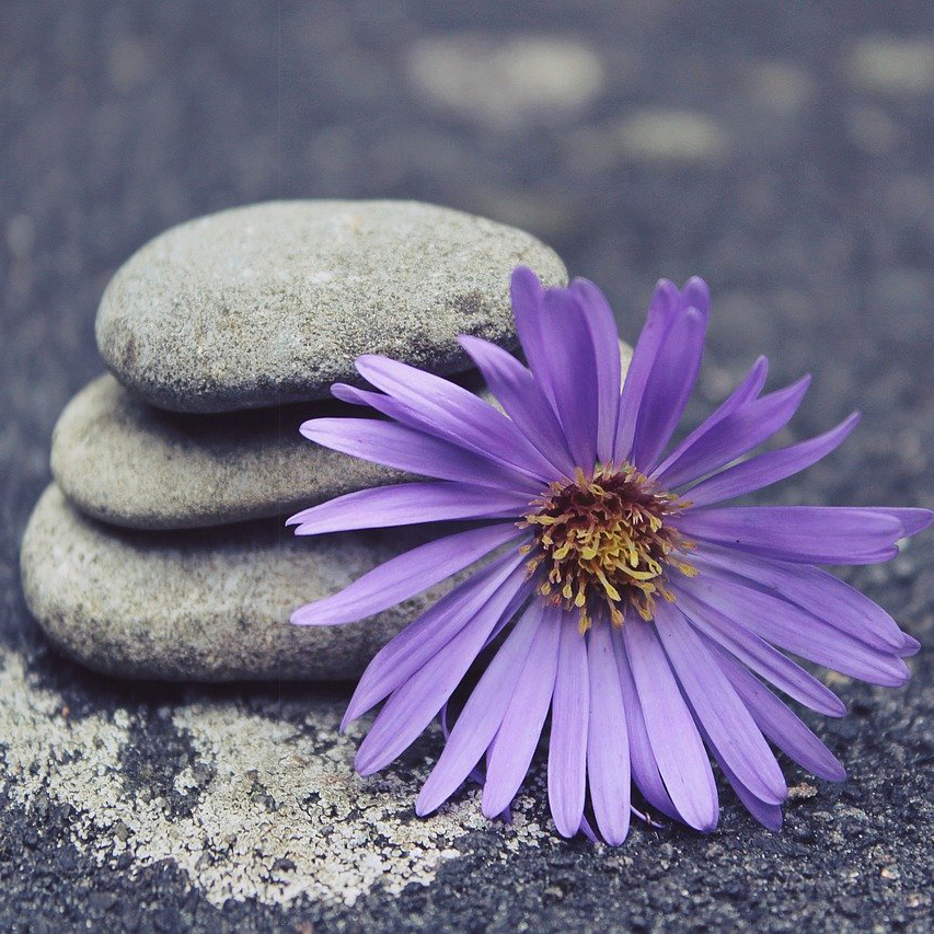 Stage Sophro-yoga